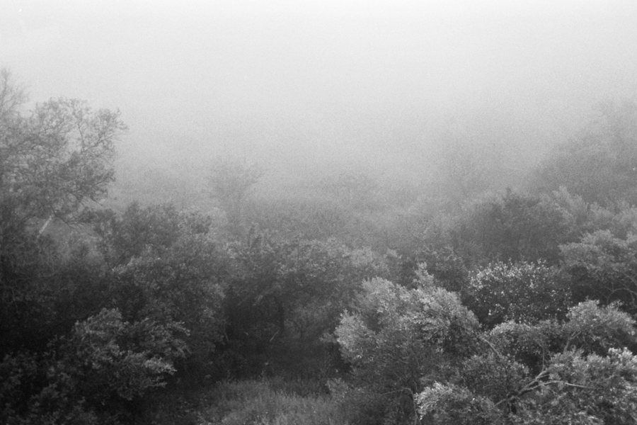 Snapshots cover image